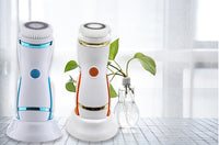 Purificateur de pores