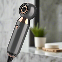 Sèche-cheveux Professionnel Portable Mini One Step Sans Hélice